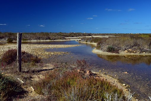 孩子學習成績不好的原因及解決方法