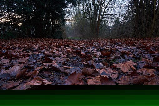 �W�ø��Д�(sh��)�W����Ч�ķ���