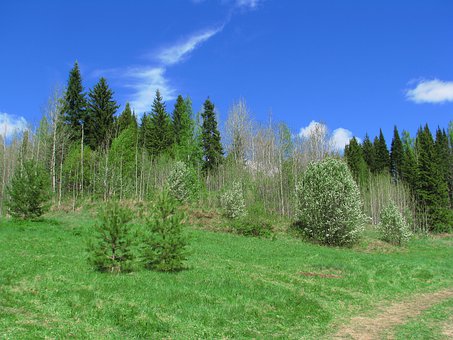 六招高效沖刺策略 調整心態事半功倍