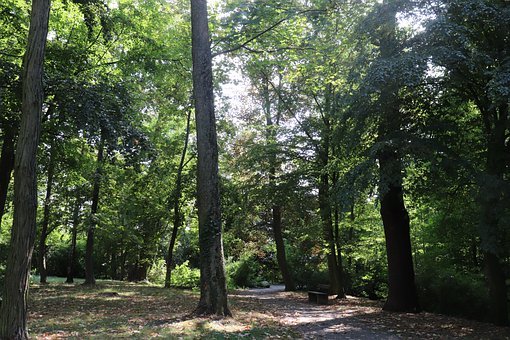 中考語文現代文解題六大技巧歸納