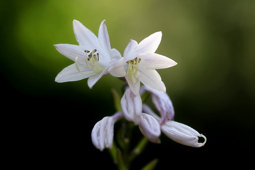 ���B�������������Ľ�������