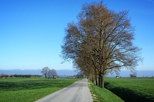 ����ָ������С�W�_�W�������ġ����t