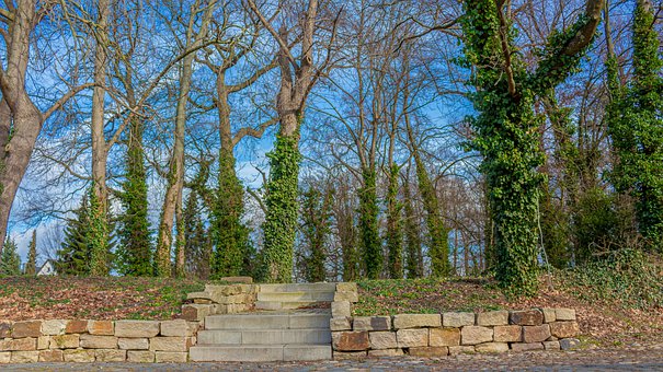 大學(xué)生求職把握5秒鐘 莫讓簡歷石沉大海