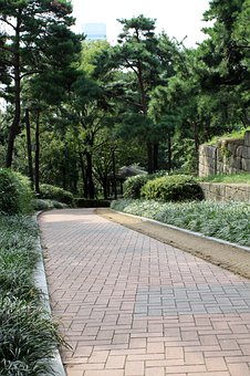 ��1-2�q������10�N�e�`������ʽ  �����ˎׂ���