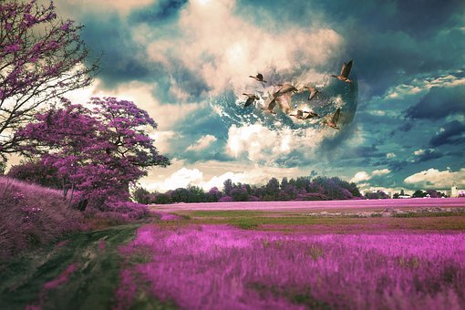 論一個好的家教的重要性!