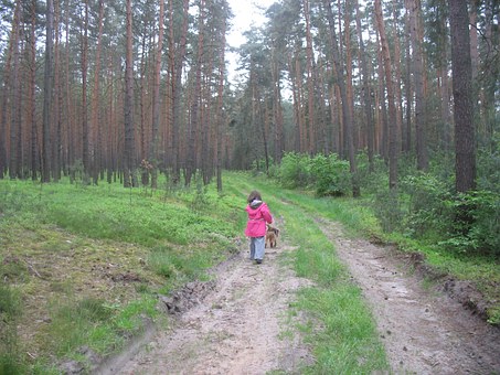 ���������W����2010����ظ߿��ȡ�֔���