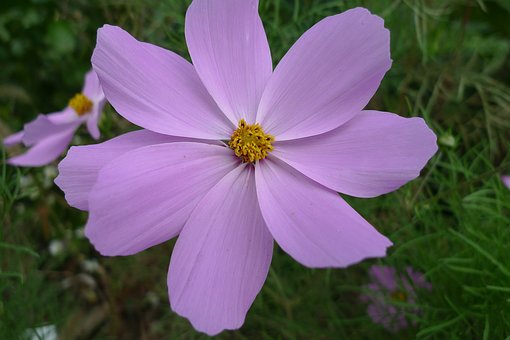 如何教育青春叛逆期的孩子