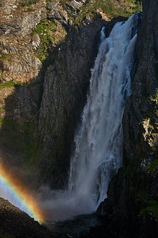 ��Ύ�����������ȼ���W�����dȤ�c����