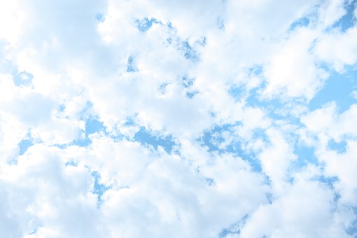 �Z�ČW�����Y����ƪ