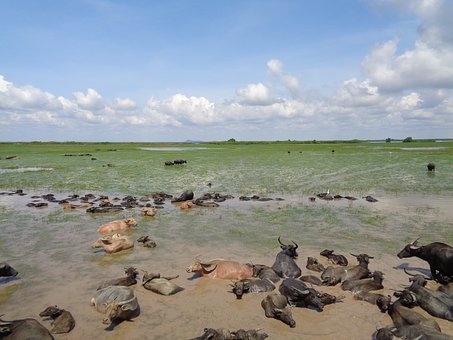 ���꼉�Z�ď��������߉݋����֪�R���������B(y��ng)�������D(zhu��n)��֮·