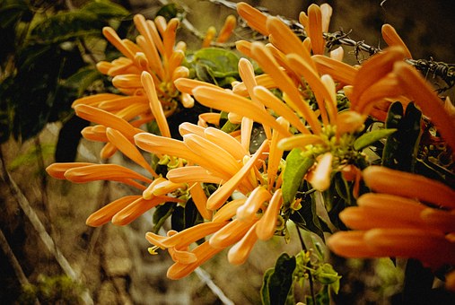 對于亂發(fā)脾氣的孩子家長應(yīng)該怎么樣對待