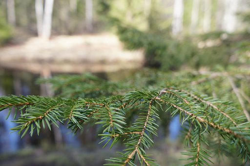 �挦�����ں��ഺ�ڣ����L��Α����͎���