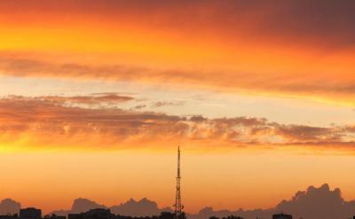 - 參與科學實驗,如探究不同因素對植物生長...