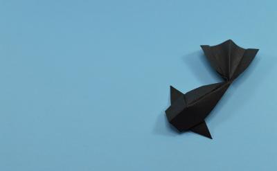 五、多角度復習數學