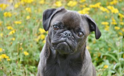 �����N�������D�ƺ��ӵ���w�����gС�ĺ���...