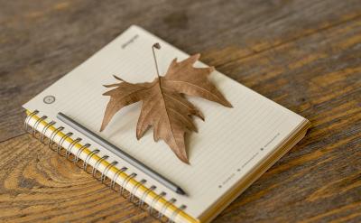 ����������Ů��ͥ���ӳ�����������ҕ����ʩ��