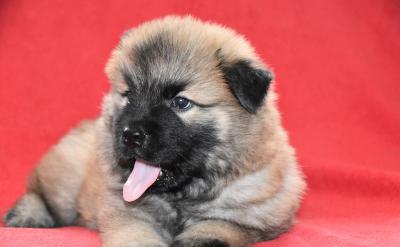 如何幫助初二學生管理手機使用