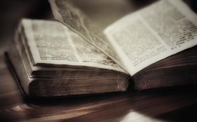 �����ӏ����펟�����B ��