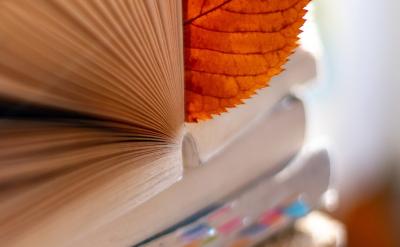 �O������Ŀ�ˣ������^����