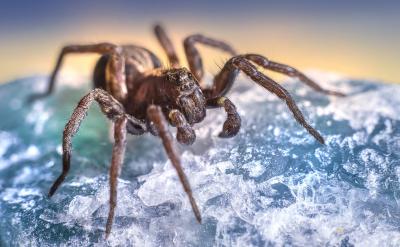 �����I������ķՇ�