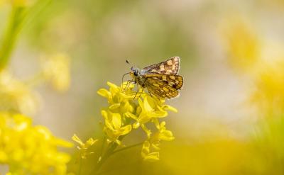 �@Щ��Ȥ�ľ�������呟����ӵ�˼�S�����ԣ�...