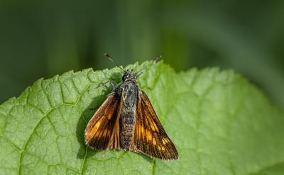 ��������L�r(sh��)�g������ʧ������w�У����L��...