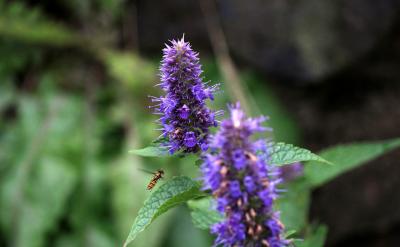 �s���������ͺ���ӑՓ�֙C��ʹ��Ҏ�t