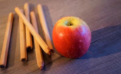 篇13:培養孩子的優秀學習習慣