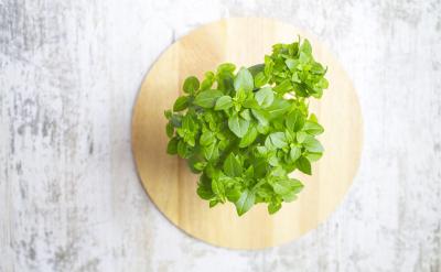 ����ѭѭ���T�������ӵ��dȤ