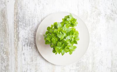 һ��ԇ���İ��������׵��y���؄e���x���}...