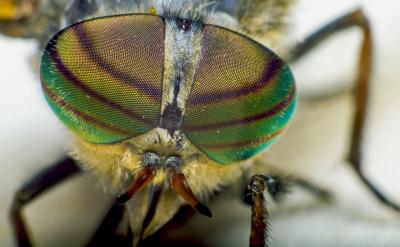 怒氣沖頭先喊“停!”