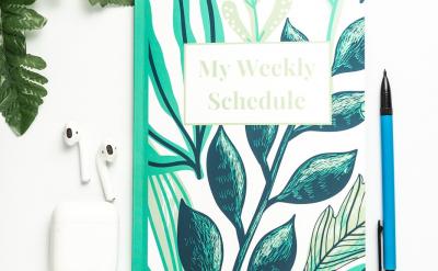 有的放矢的教育:充分考慮孩子的身心發展特點