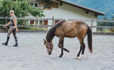 4. ���󌣘I(y��)������