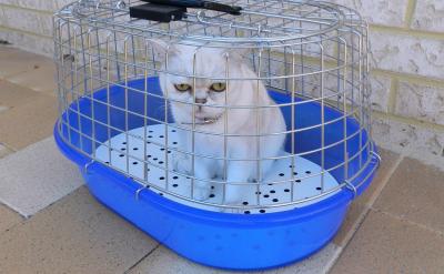 1. 開設商店游戲