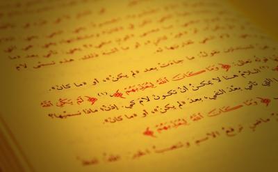 �o�躢�ӷe�O�Ļؑ���֧��