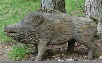 建立和維護家長之間的關(guān)系