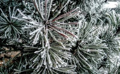 4���˽�����ԭ��