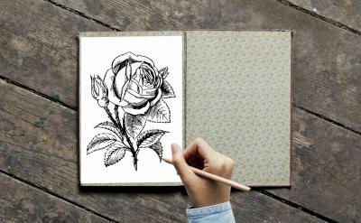 ���б�횽y�ϸй���Ϣ�������_��ϣ�������...