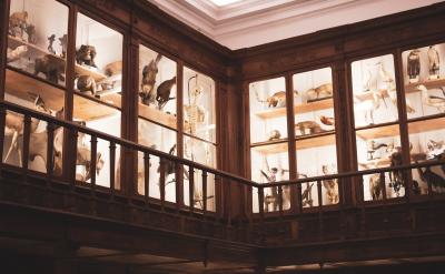 ����������ķ����͵��@����ϣ���ܽo��λ��...