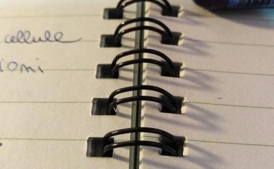 ���������ʘ���ʽ