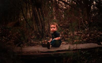 �ṩ�m�ϵČW������