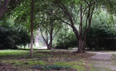 ���L�����o��ֹ�ĝM�㺢�ӵ����������o�C��...