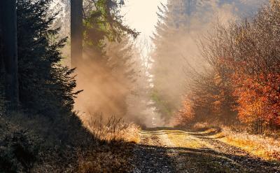 ���B�����ĵķ���