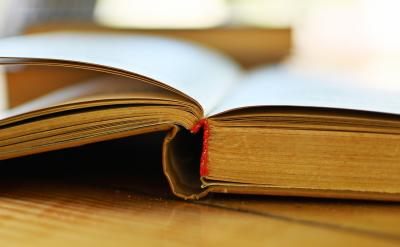 �����ڵ�����