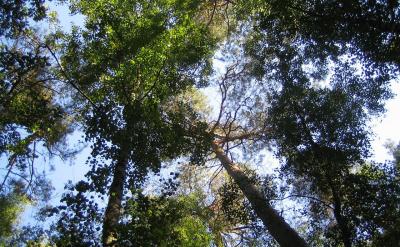 提升數學成績的其他建議