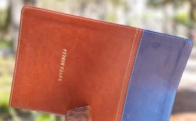 3.2 創造積極關注的家庭環境