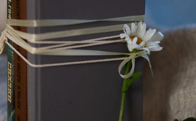 直線與圓、圓錐曲線的位置關系:研究直線與...