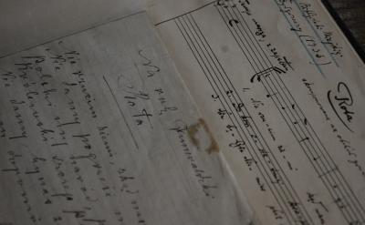 2. 利用天然材料設計玩具