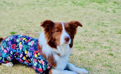 ��ͯ�����Y�Ķ��x�ͷ��