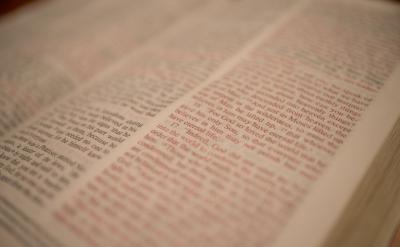 但最聰明的家長此時限制他的這個多做作業...